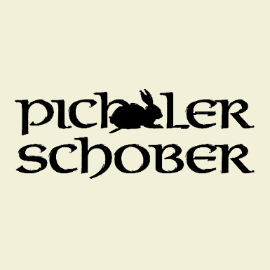 PichlerSchober_Logo_big.jpg