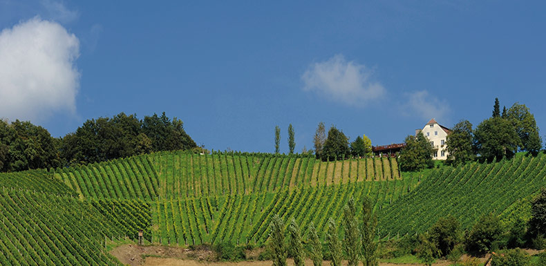 Weingut Harkamp