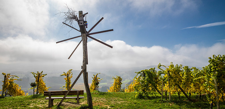 Weingut Harkamp