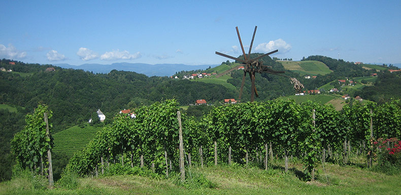 Weingut Lambauer