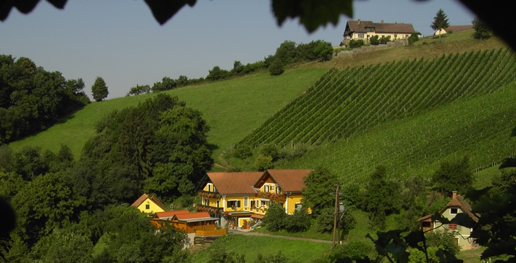 Weingut Stoff