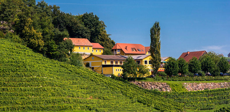 Weingut & Buschenschank Schneeberger