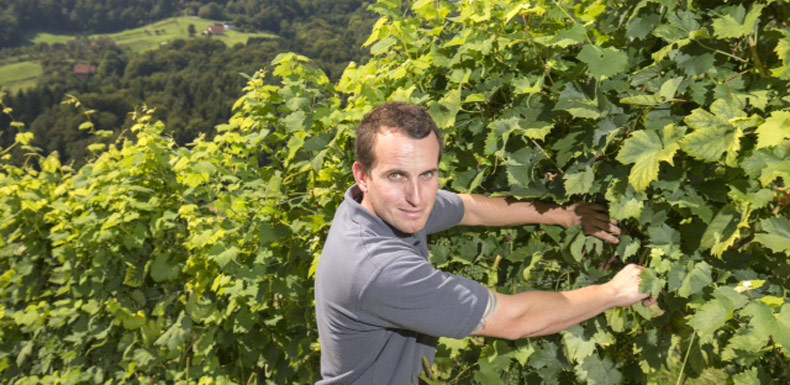 Weingut & Buschenschank Schneeberger