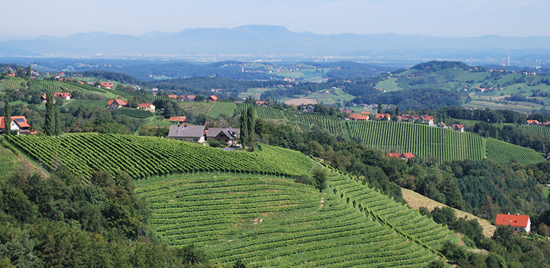 Weinbauschule Silberberg