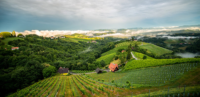 Weingut Wohlmuth