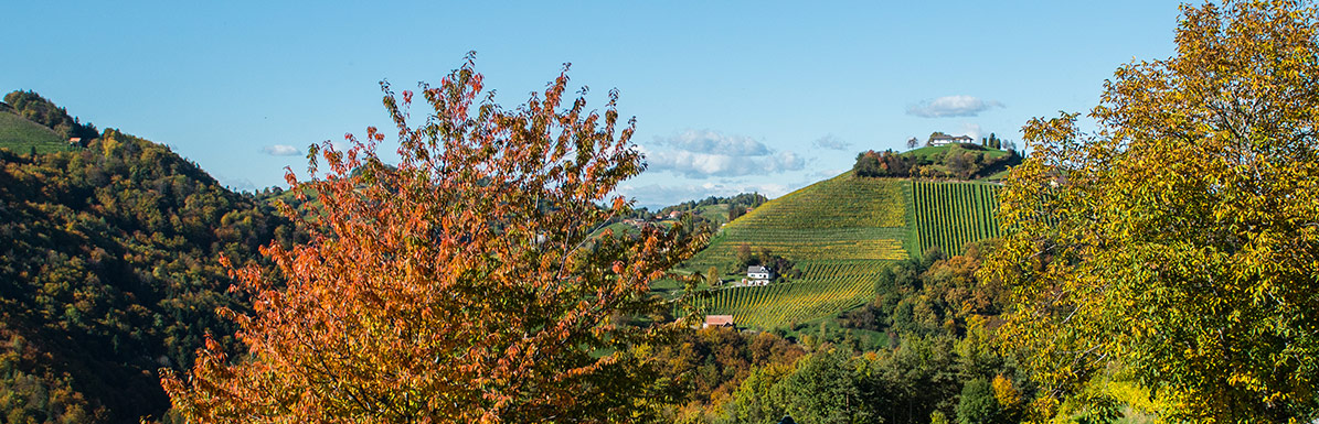 Einzellagen