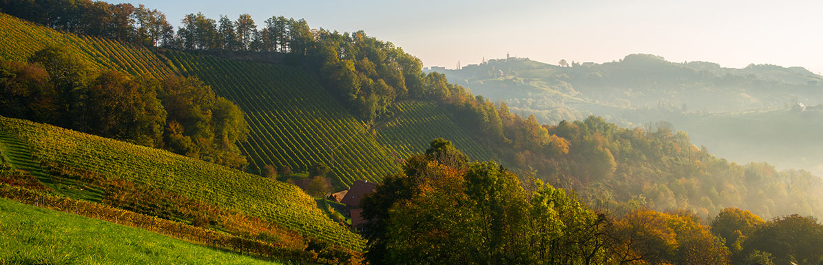 Einzellagen